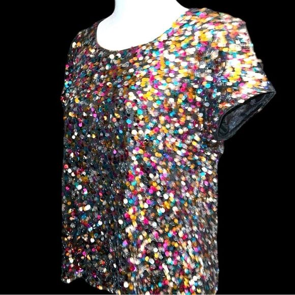 Beautiful vintage multi colored sequined top. Lots of possibilities in this one - Picture 7 of 9